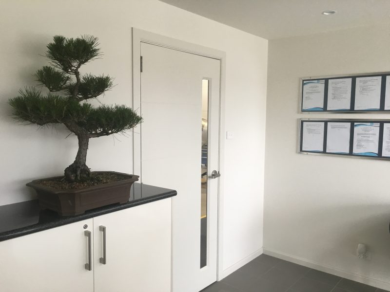 Bonsai Hire ideas for office spaces and reception areas.
