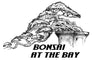 Bonsai at The Bay