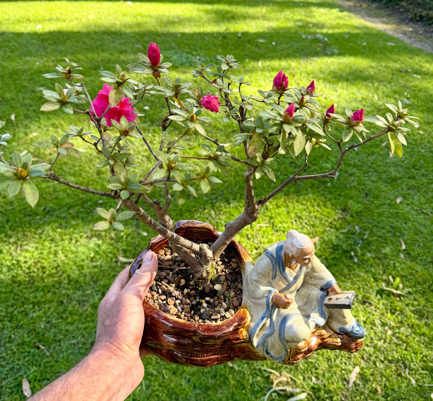 Azalea Bonsai (2000)