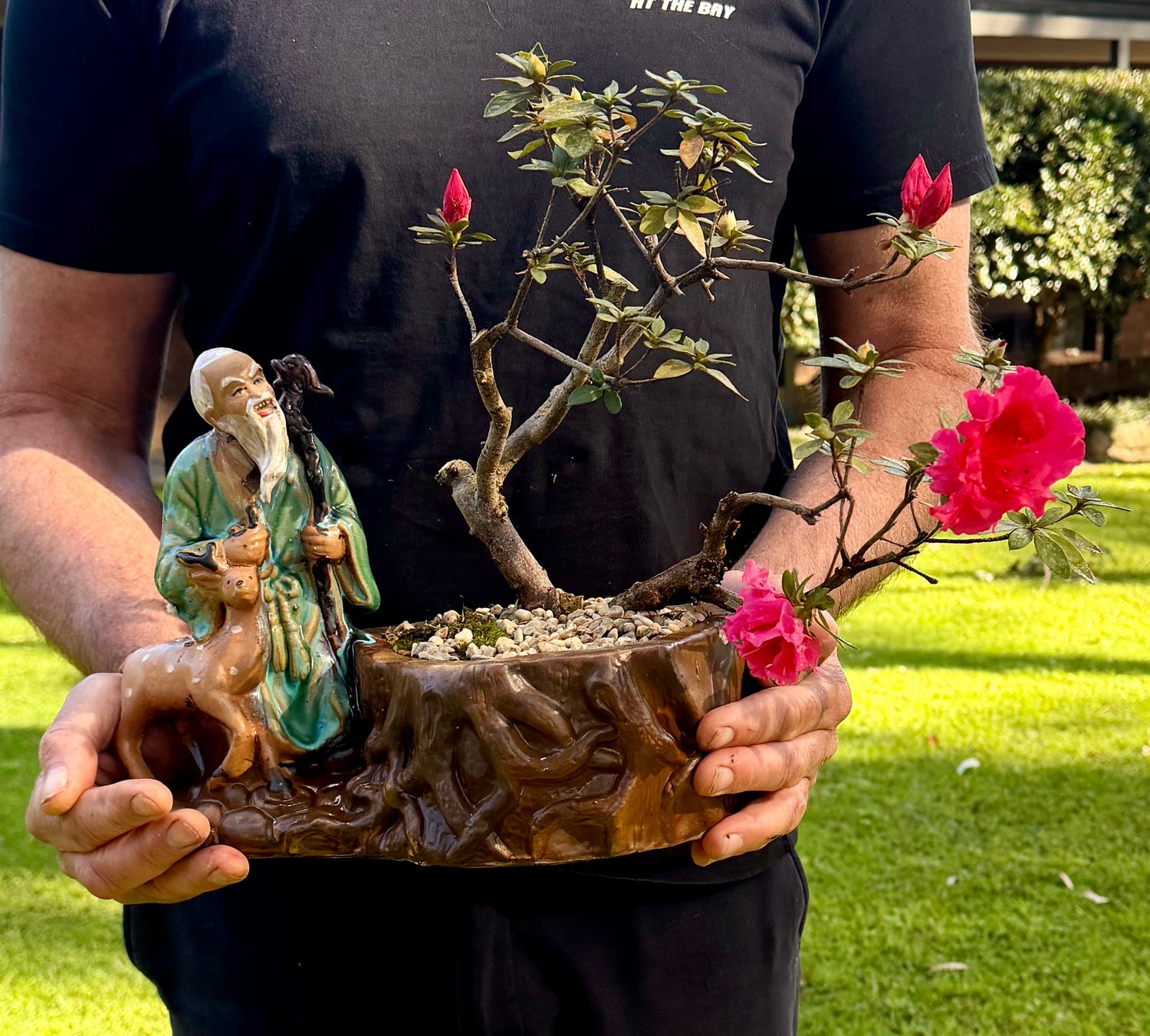 Azalea Bonsai (2001)