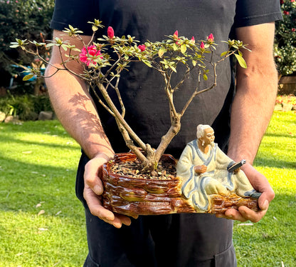 Azalea Bonsai (2000)